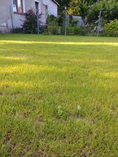 Apartament Zaciszny