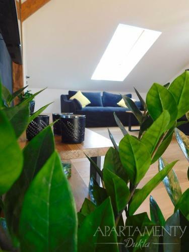 Apartamenty Dukla
