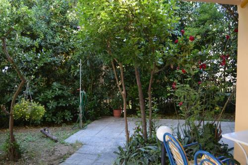 Apartamentos Hotel Eleni