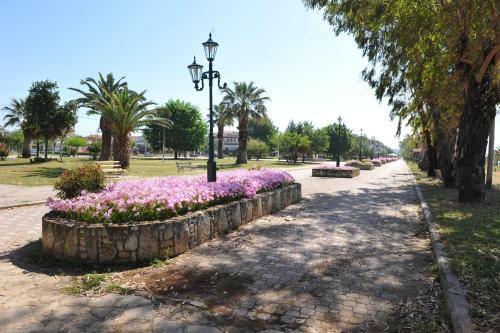 Apartamentos Hotel Eleni