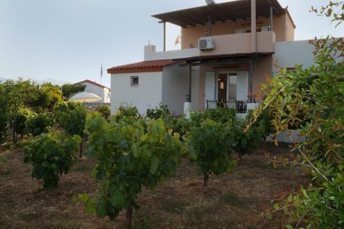 Villa Nefeli