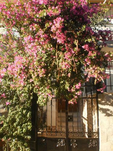 Apartamento Zavrakli