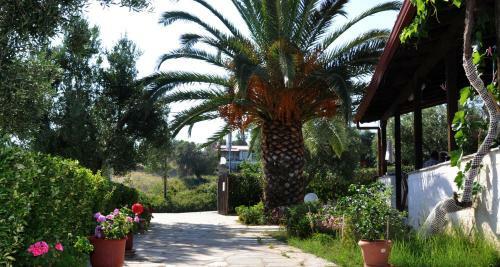 Apartamento Aris Pension
