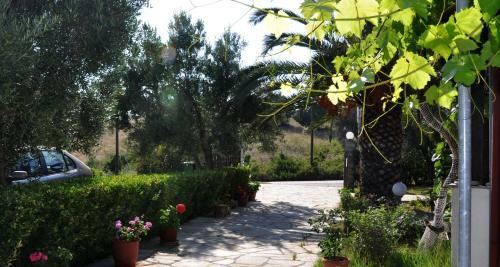 Apartamento Aris Pension