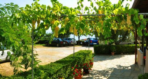 Apartamento Aris Pension