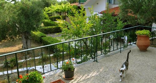 Apartamento Aris Pension