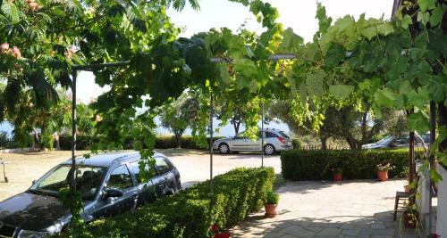 Apartamento Aris Pension