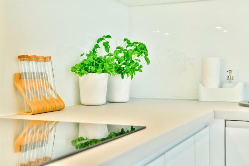 Apartamento Chilliapartamenty - Bli?ej Morza - Green