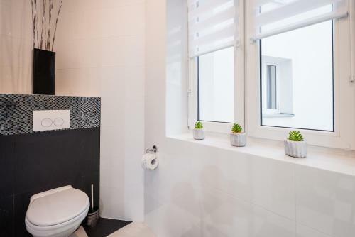 Apartamenty Bosacka Wawelofts