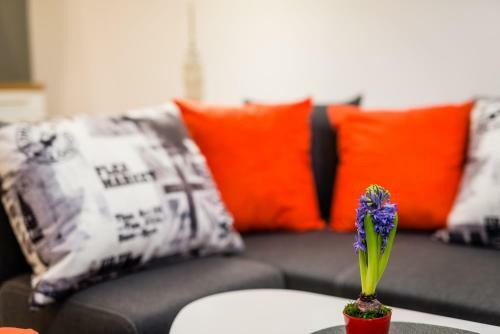 Apartamenty Bosacka Wawelofts