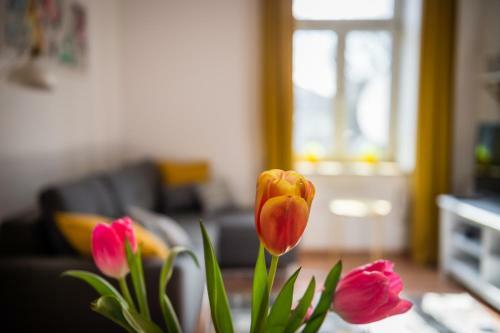 Apartamenty Bosacka Wawelofts