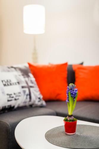 Apartamenty Bosacka Wawelofts