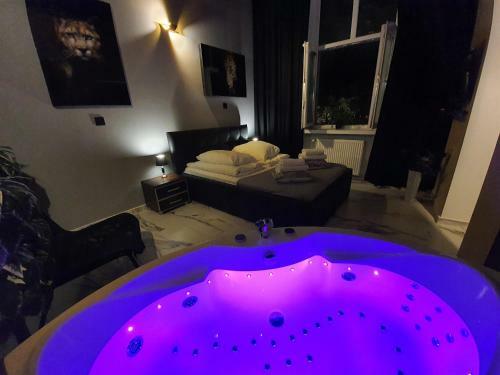 Apartament Z Jacuzzi Krak�w