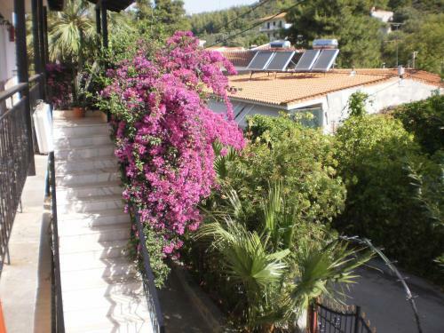 Apartamento Studios Rosa