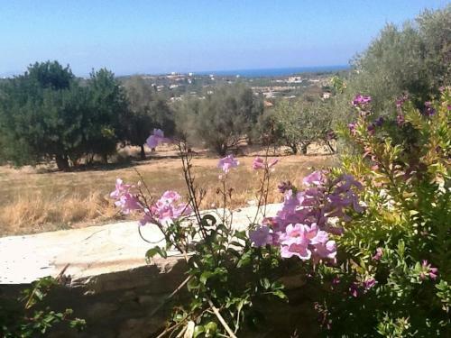 Helidonia Villas