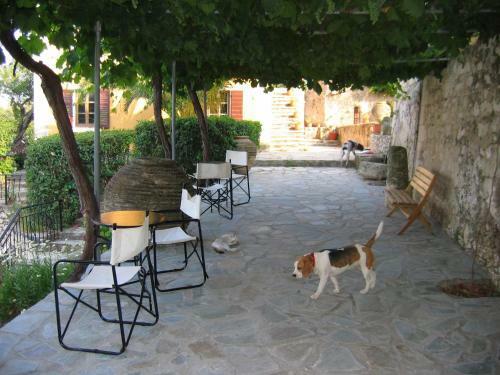 Hotel Archontiko Maisonettes