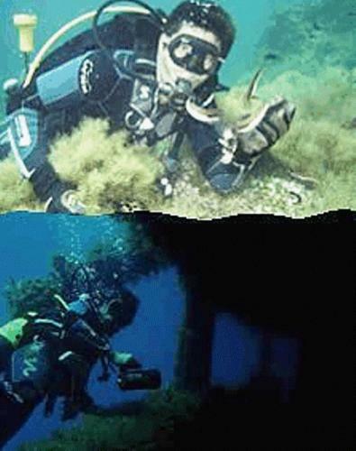 Albergue Surfing Beach Huts