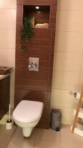 Apartamento Comfort Zone Ostroda Boho Scandi City & Lake