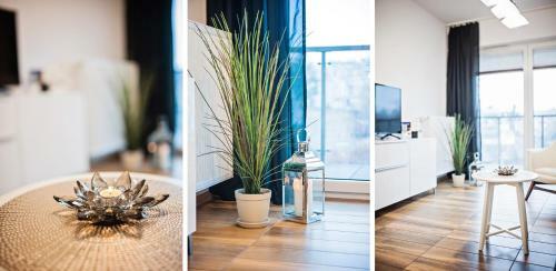 Apartamenty Homely Place Centrum