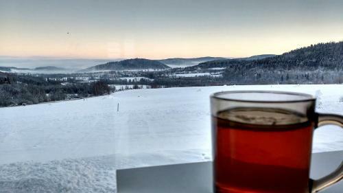 Bed & Breakfast Rezydencja Ostoja