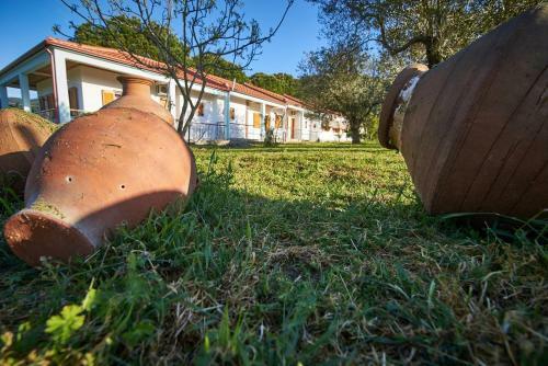 Apartamento House Rena
