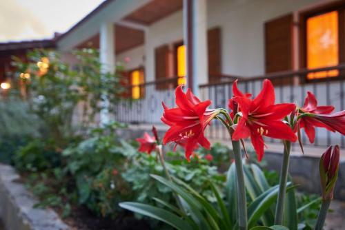 Apartamento House Rena