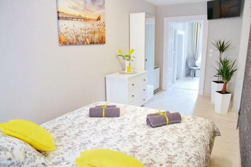 Grey Rooms