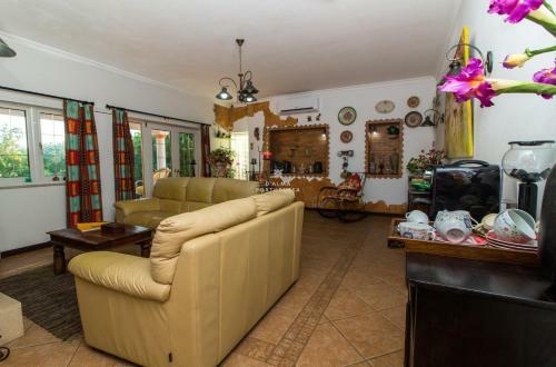 D Alma Villa Maximo