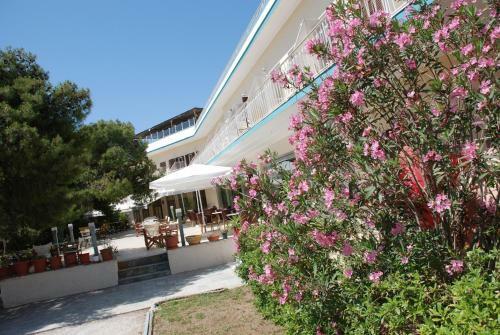 Galini Hotel