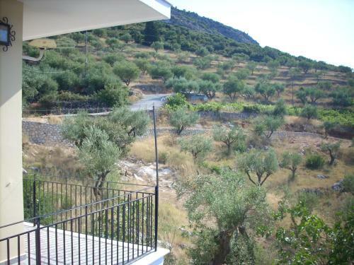 Apartamento Olympia House