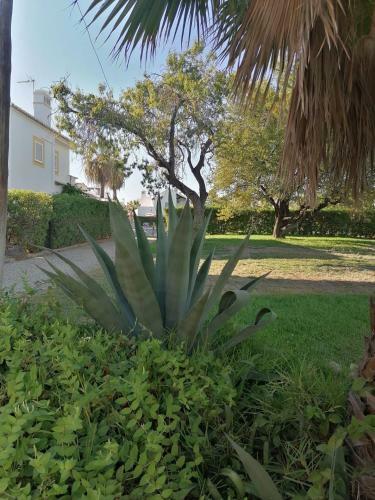 Apartamento Algarent Cabanas de Tavira Quinta Velha Cosy 214