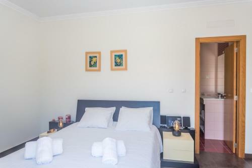 Villa Comporta III