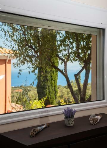 Apartamento Villa Erato