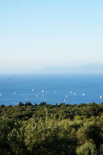 Apartamento Villa Erato