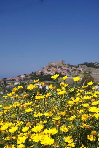 Hostal Triena Rooms