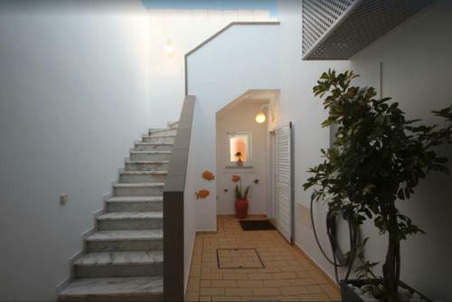 Villa Meia-praia