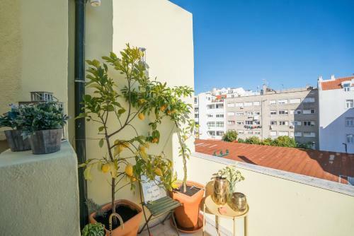 Apartamento Joly Jolie Gloria With Terrace