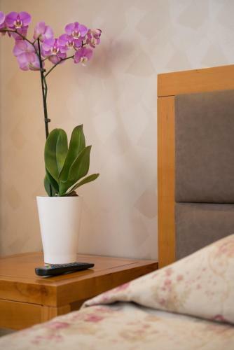 Hotel Aethria