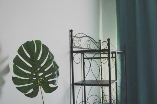 Bed & Breakfast Casa Do Campo