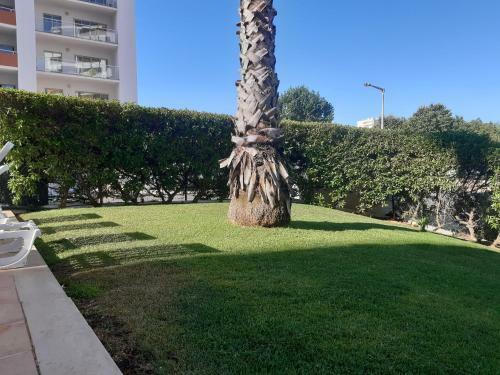 Apartamento Eleganz House