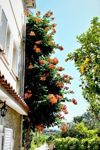 Apartamento Villa Dionysios