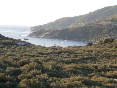 Apartamento Pansion Porto Tsi Ostrias