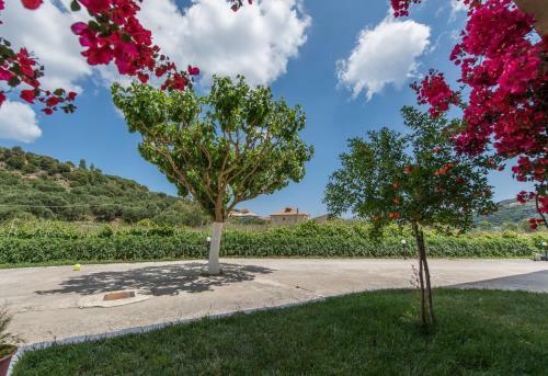 Apartamento Pansion Porto Tsi Ostrias