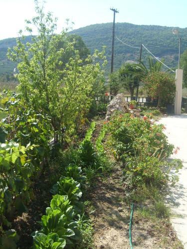 Apartamento Pansion Porto Tsi Ostrias