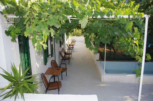 Hostal Oasis