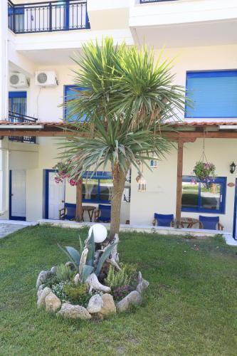 Apartamentos Nemo Studios