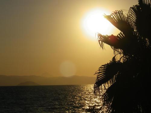 Apartamentos Nemo Studios