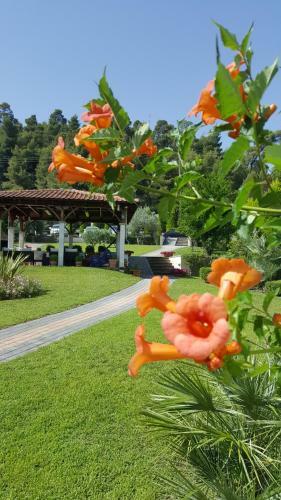 Apartamento Sun Residence
