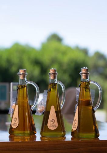 Olive Nature - Hotel & Spa Da Quinta Dona Adelaide