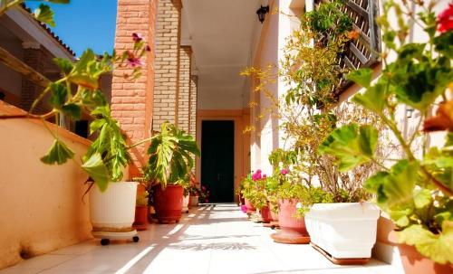 Avra Hotel